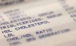 Hoe verhoog je de HDL-cholesterol?